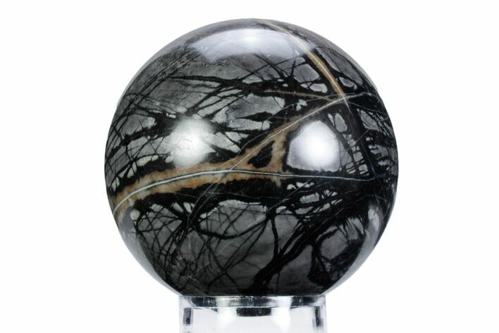 Polished Picasso Marble Sphere - Utah #360345